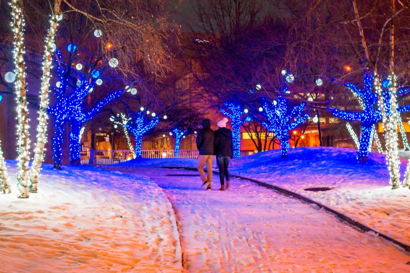 Landscape and Tree Lighting